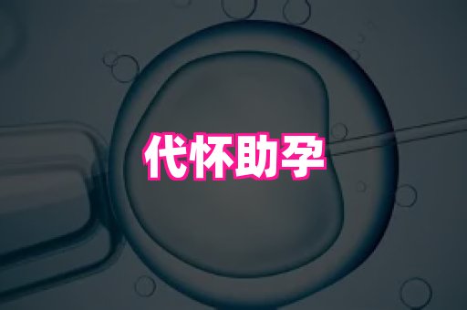 821孕网 4